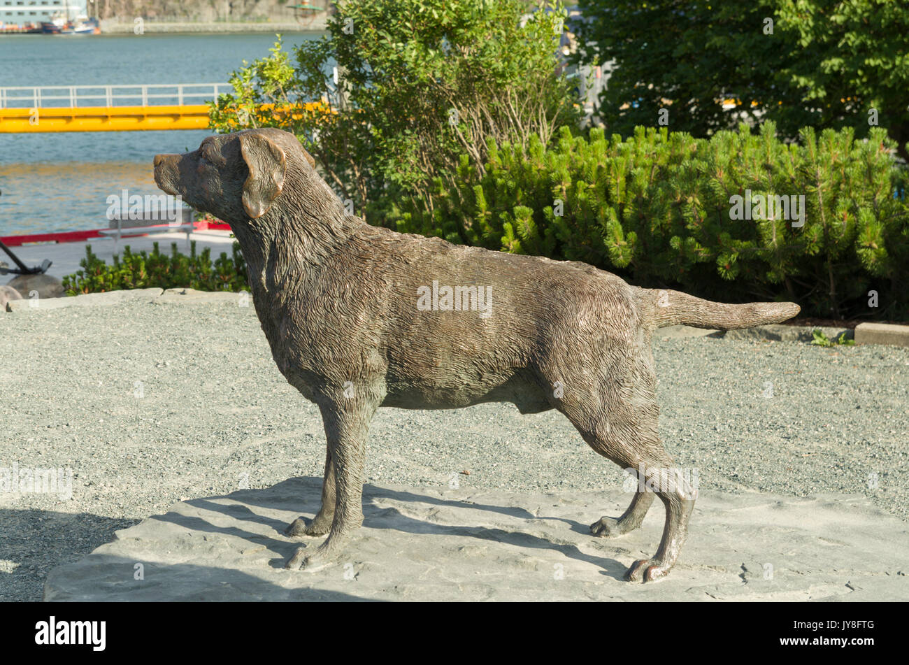 Statue de race de chien de Terre-Neuve Banque D'Images