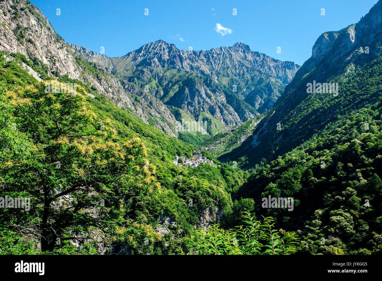 Vue de la vallée Codera avec ses arbres et le village de Codera,  Valchiavenna, Valtellina Lombardie Italie Europe Photo Stock - Alamy