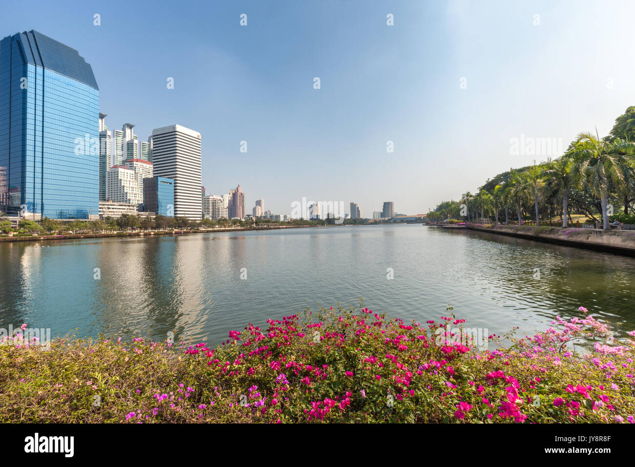 Parc Benjakiti à Bangkok, Thaïlande skyline avec Lac Ratchada, bougainvilliers et gratte-ciel Banque D'Images