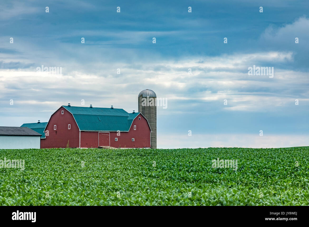 Une grange avec Northamerican un silo en été Banque D'Images