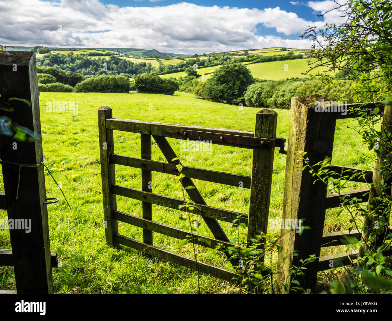 Vue à travers une barrière ouverte à l'été paysage de parc national d'Exmoor. Banque D'Images