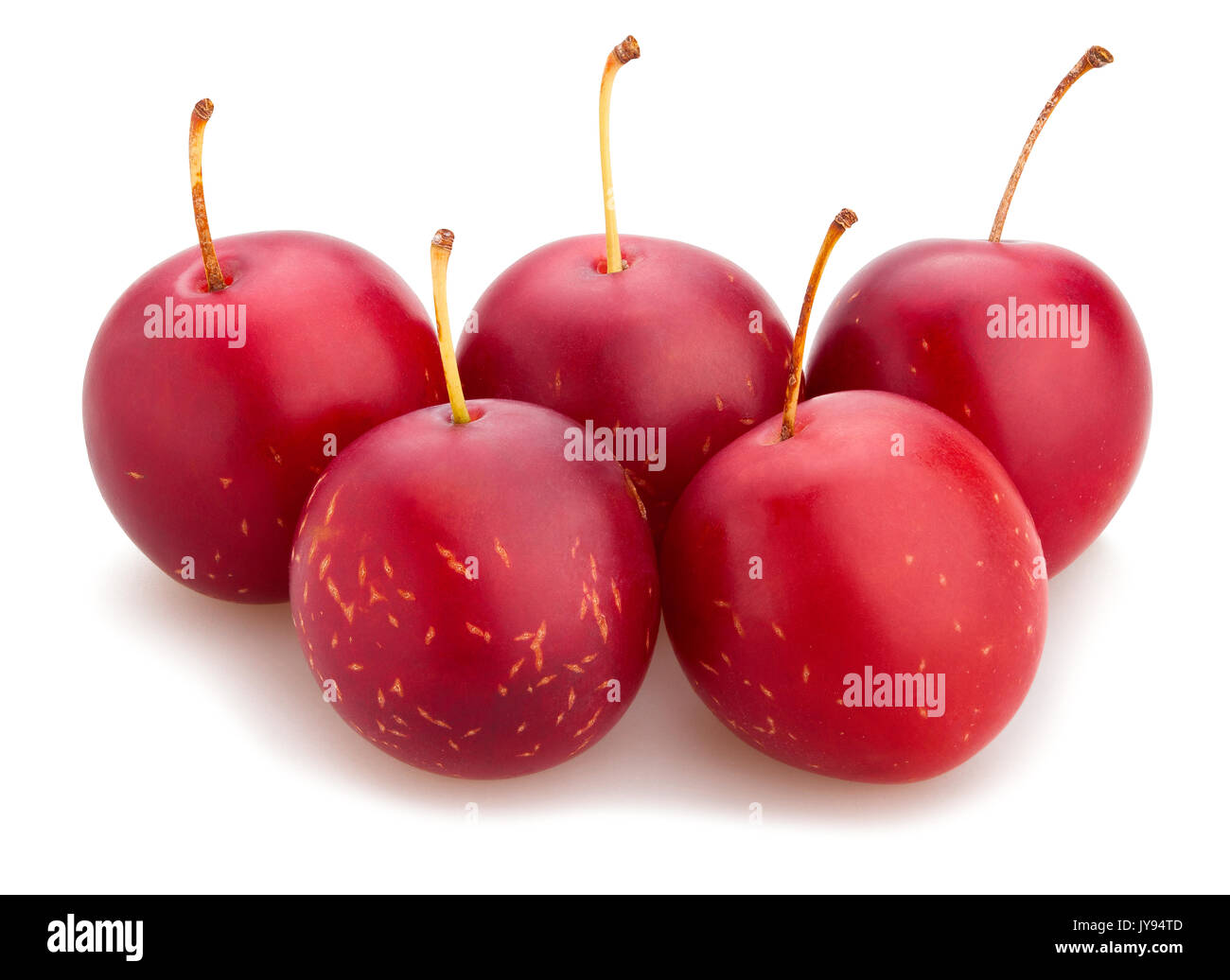 Cherry Plum isolé chemin Banque D'Images