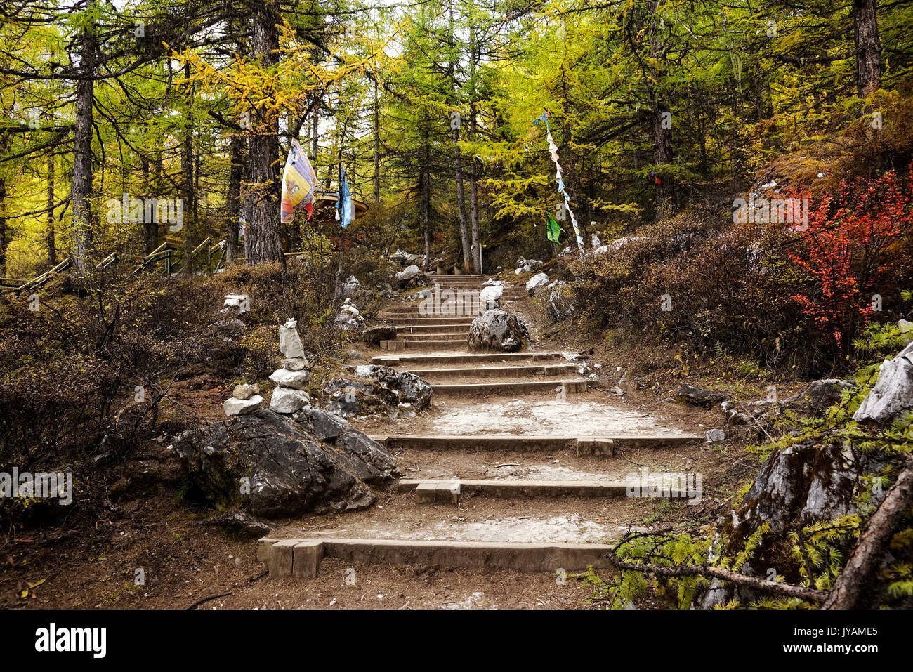 Shangri La, escaliers en passant par forest rempli de jaune vert rouge les arbres d'automne et de petits drapeaux au niveau national dans la vallée de Yading, Daocheng Banque D'Images