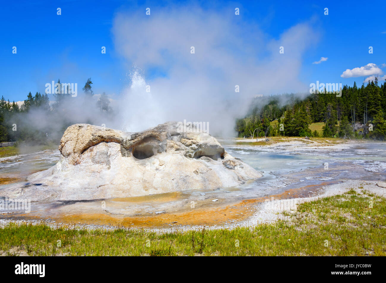 Les eaux de la vapeur et de l'éruption du geyser de grotte dans la région de geyser basin. Le parc national de Yellowstone Banque D'Images
