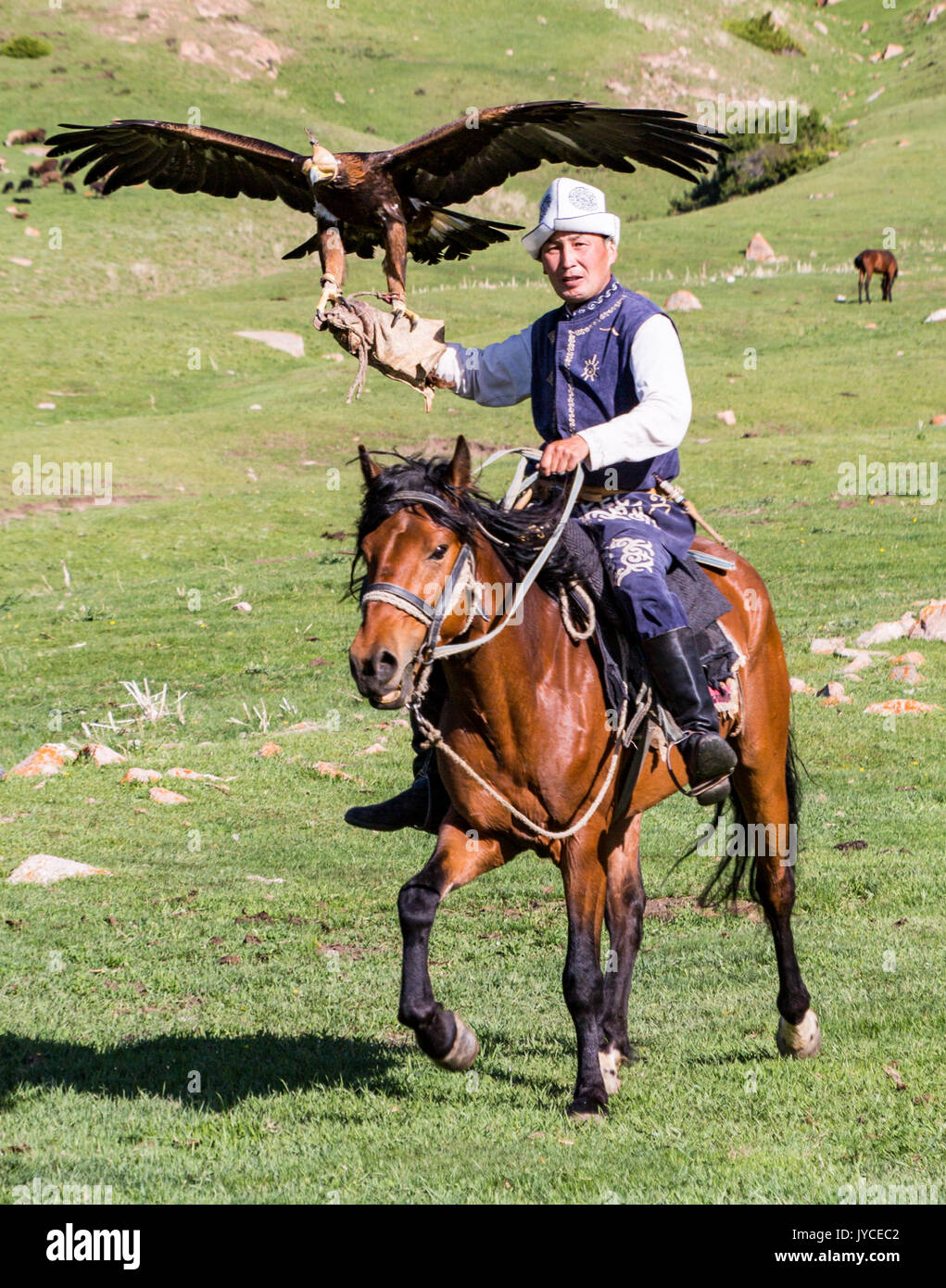 Eagle Hunter tient sa blanche à cheval, prêt à prendre son envol au Kirghizistan le 29 mai, 2017 Banque D'Images