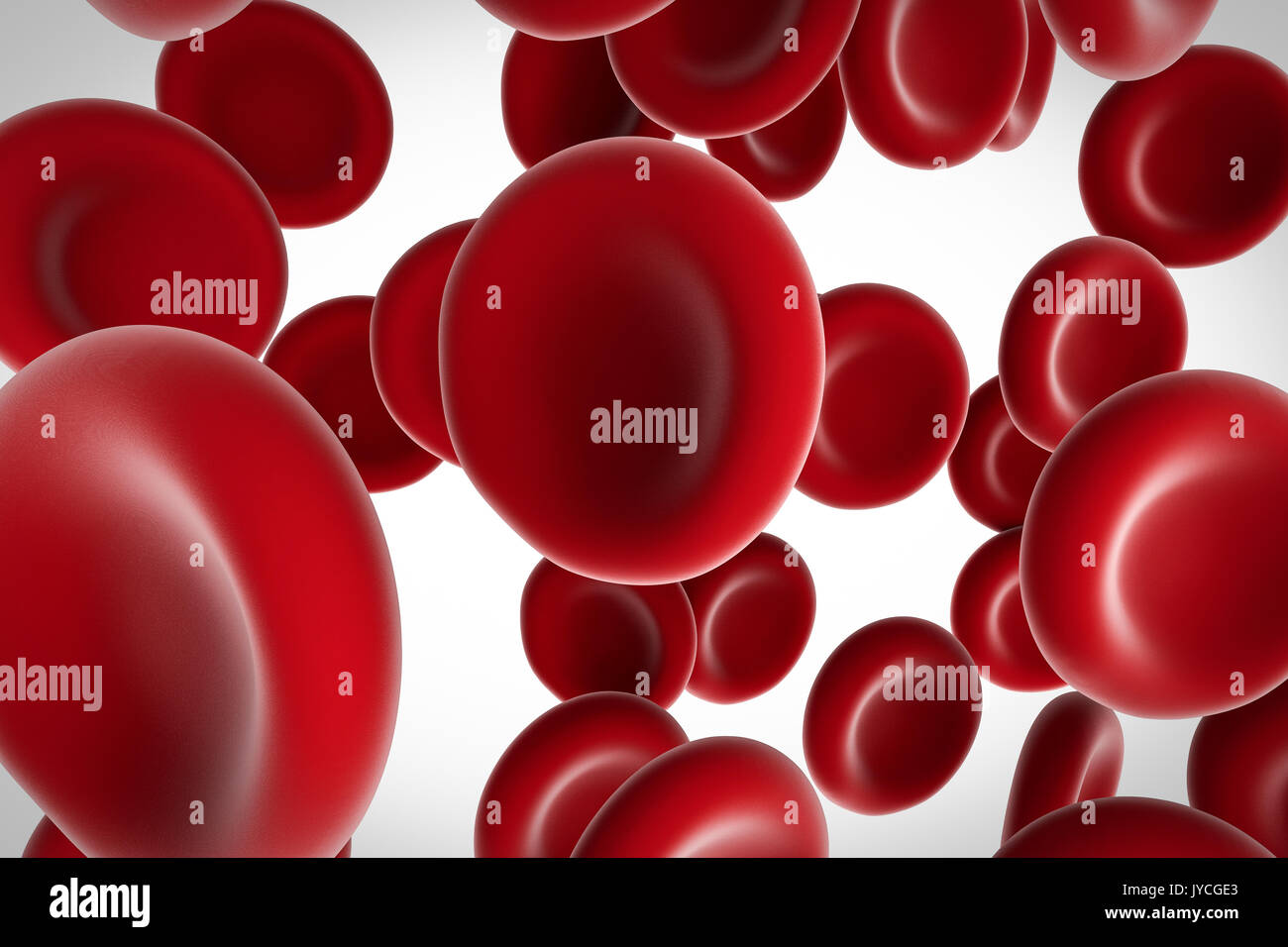 Cellule humaine globules rouge et blanc Banque de photographies et d ...