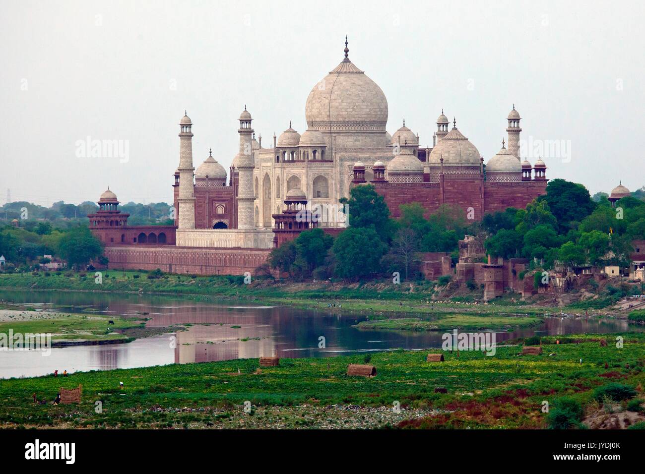 Le Taj Mahal, joyau de l'art musulman en Inde et l'un des chefs-d'œuvre universellement admirés du patrimoine dans le monde, et de la rivière Yamuna, Agra Indi Banque D'Images