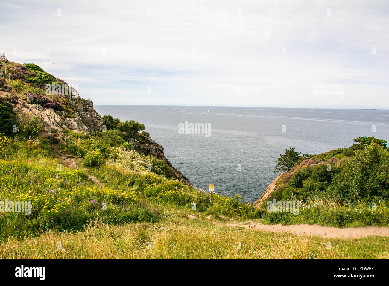 L'herbe verte près du littoral. Banque D'Images