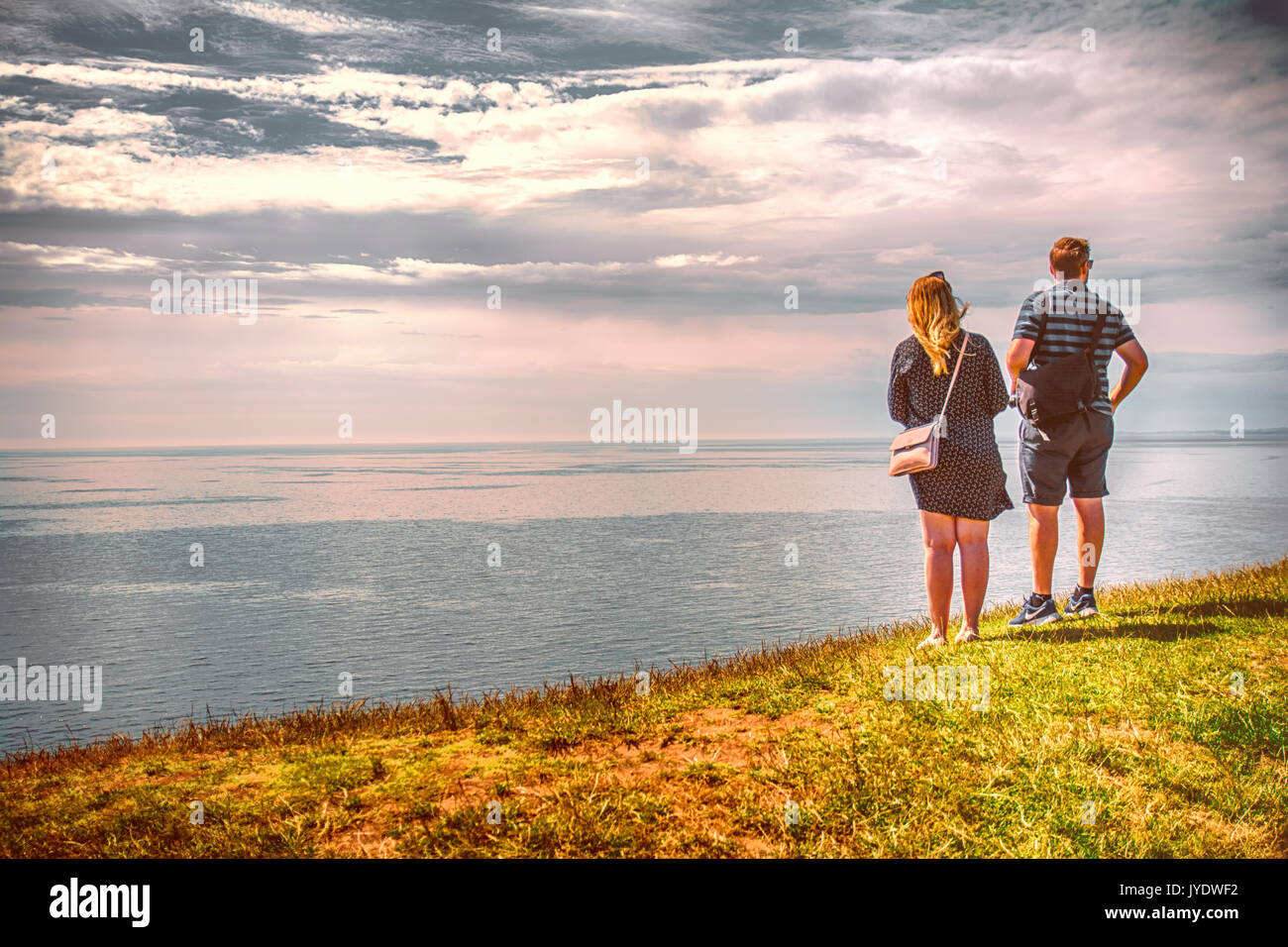 L'herbe verte près du littoral. Banque D'Images