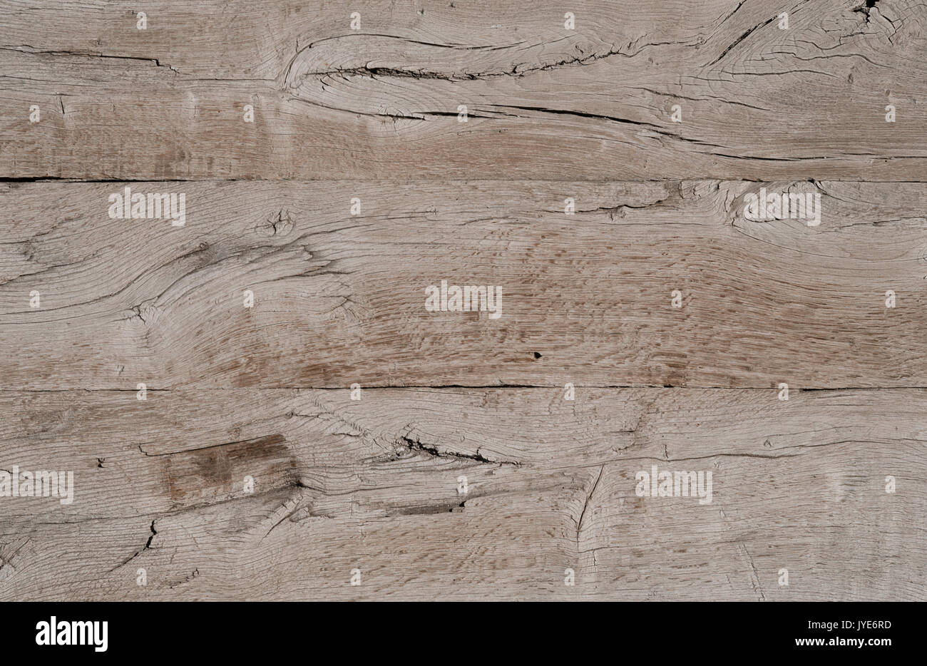 La texture, de nouvelles planches en bois non peint avec des fissures, sont situés l'un par un. Photo horizontale, papier peint Banque D'Images