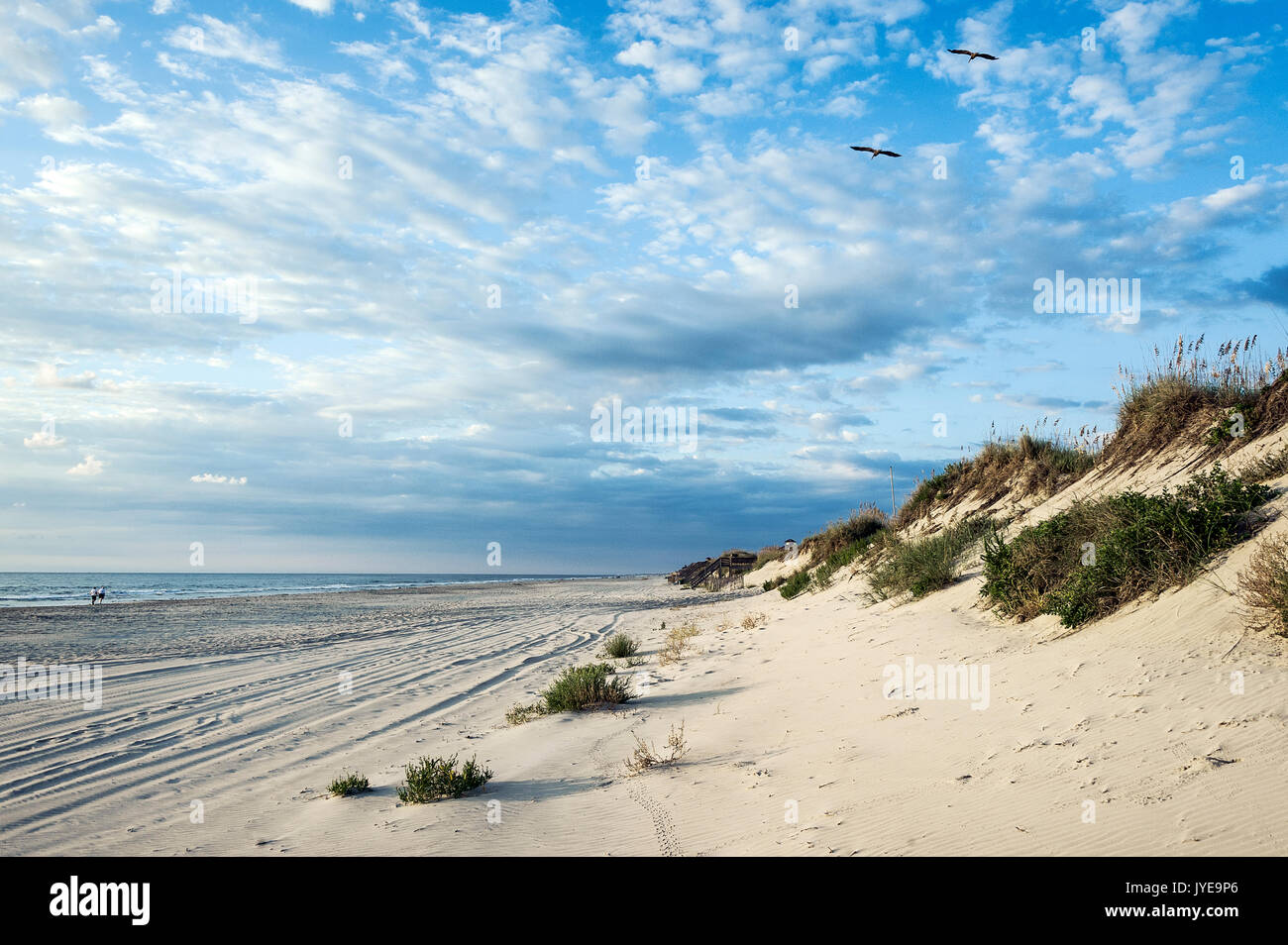 Plage , Corolla, Outer Banks, Caroline du Nord, USA. Banque D'Images