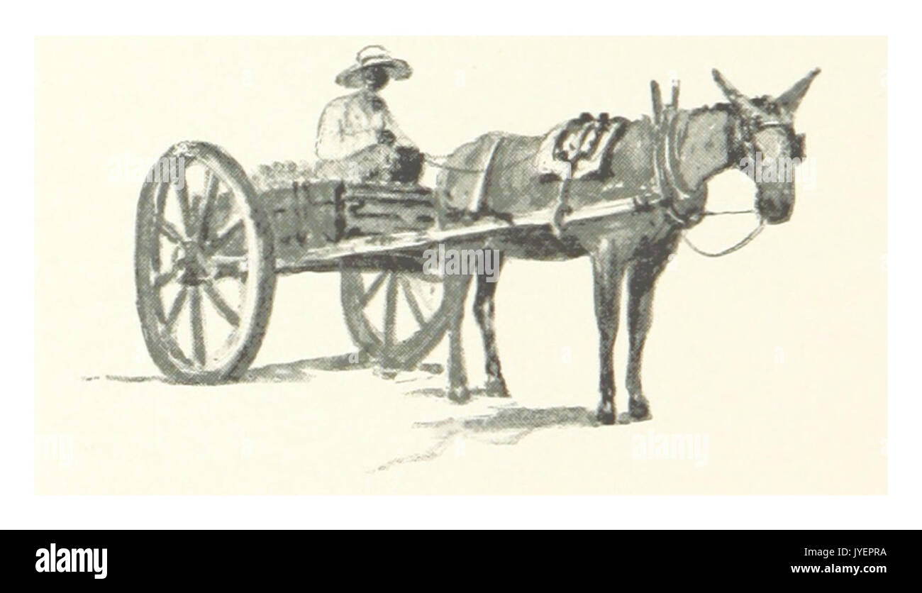 Chariot à ânes Banque d'images détourées - Alamy