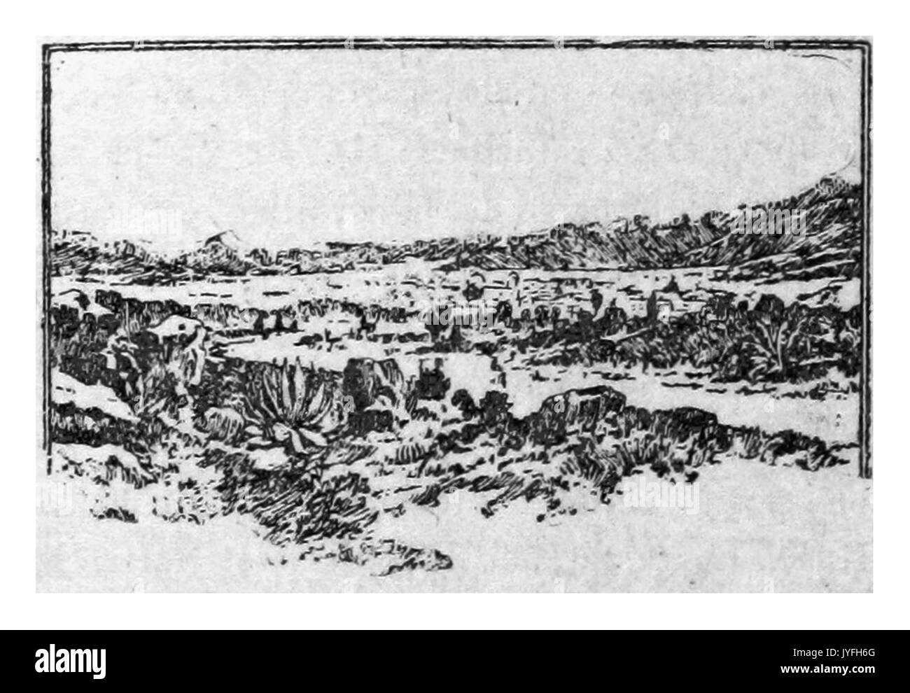 VERA(1899) p064 Llano de Comayagua Banque D'Images