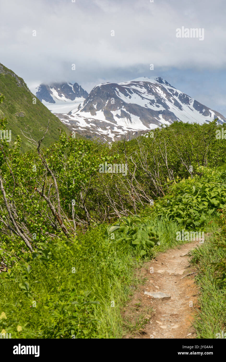 Sentier du lac perdu, la Forêt Nationale de Chugach, Seward, Alaska, USA Banque D'Images