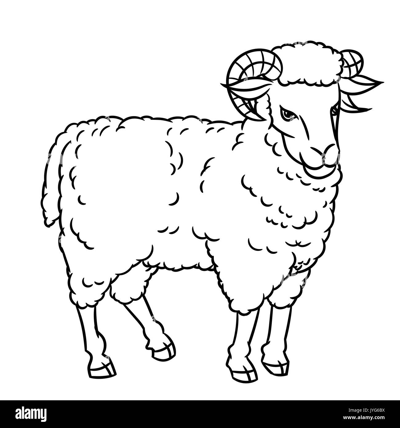 Dessin à la main les moutons. Les animaux de ferme. Le style graphique de croquis. L'éducation pour la conception du texte livre, livre de coloriage. Illustration de Vecteur