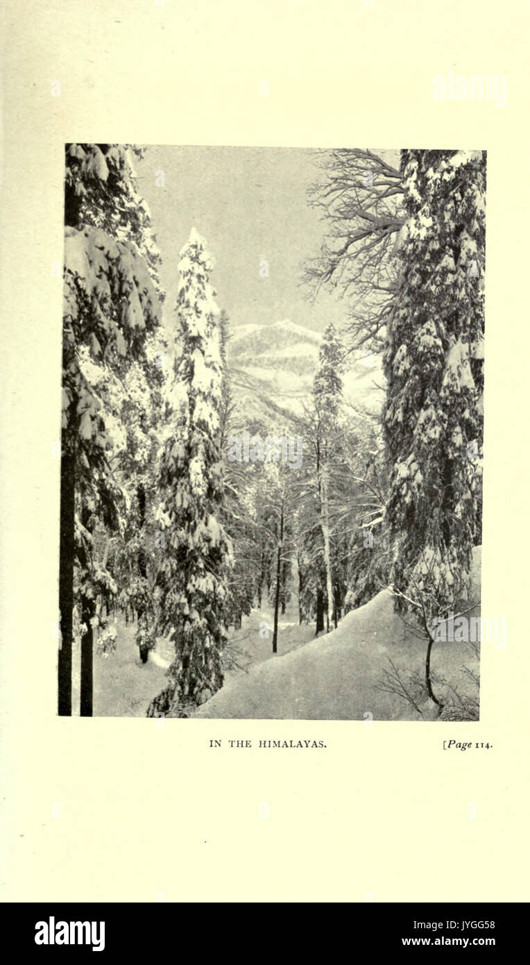 Une athlète en Inde BHL24191715 Banque D'Images