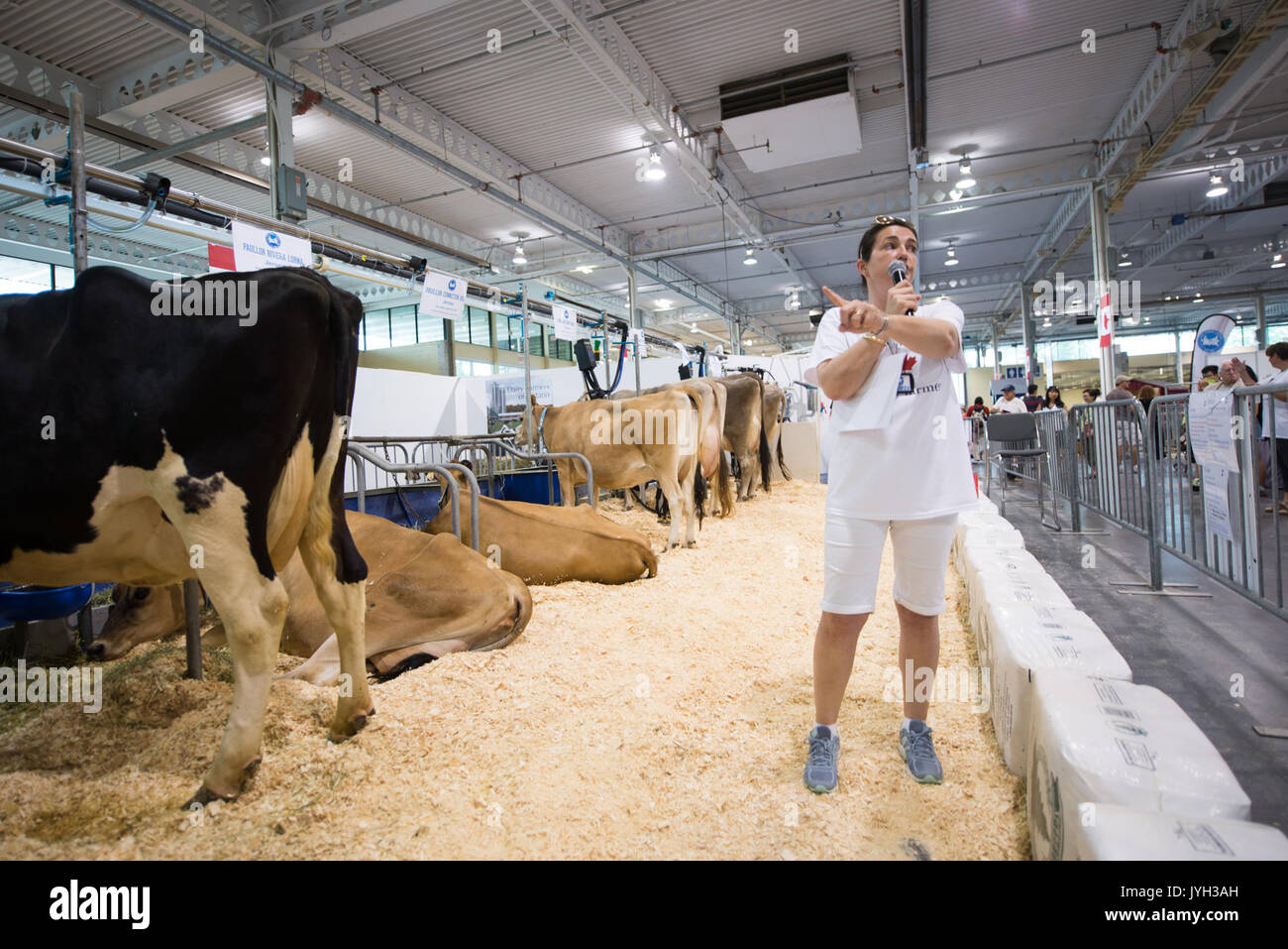 (170819) -- Toronto (Canada), le 19 août 2017 (Xinhua) -- un membre du personnel de l'association Dairy Farmers of Ontario introduit des procédures de production laitière à l'Exposition nationale canadienne à Toronto, Canada, le 18 août, 2017. Les États-Unis ont ouvert à l'âge de 23 ans, Accord de libre-échange nord-américain (ALENA) renégociations mercredi par une déclaration qu'il veut des changements majeurs à l'accord qui déplace l'équilibre de l'échange. Toutefois, les propriétaires d'entreprise canadiens espèrent que les négociateurs des États-Unis sera réceptif à maintenir, voire d'améliorer, la circulation des biens et des travailleurs de l'autre côté de la frontière. Bien que le Banque D'Images
