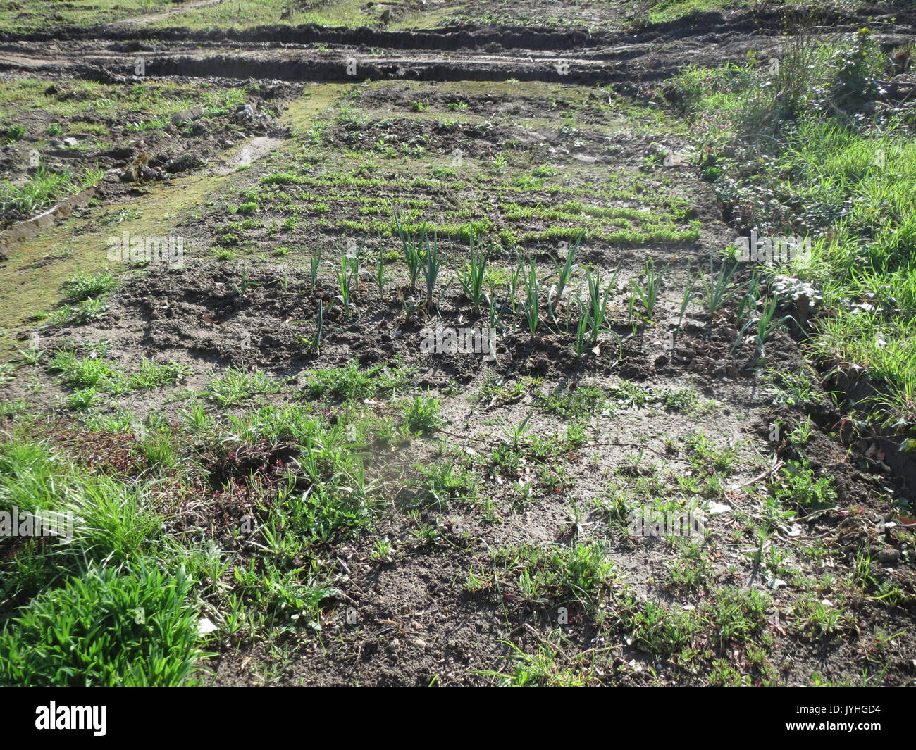 20160406Kraichbach Hockenheim1 Banque D'Images