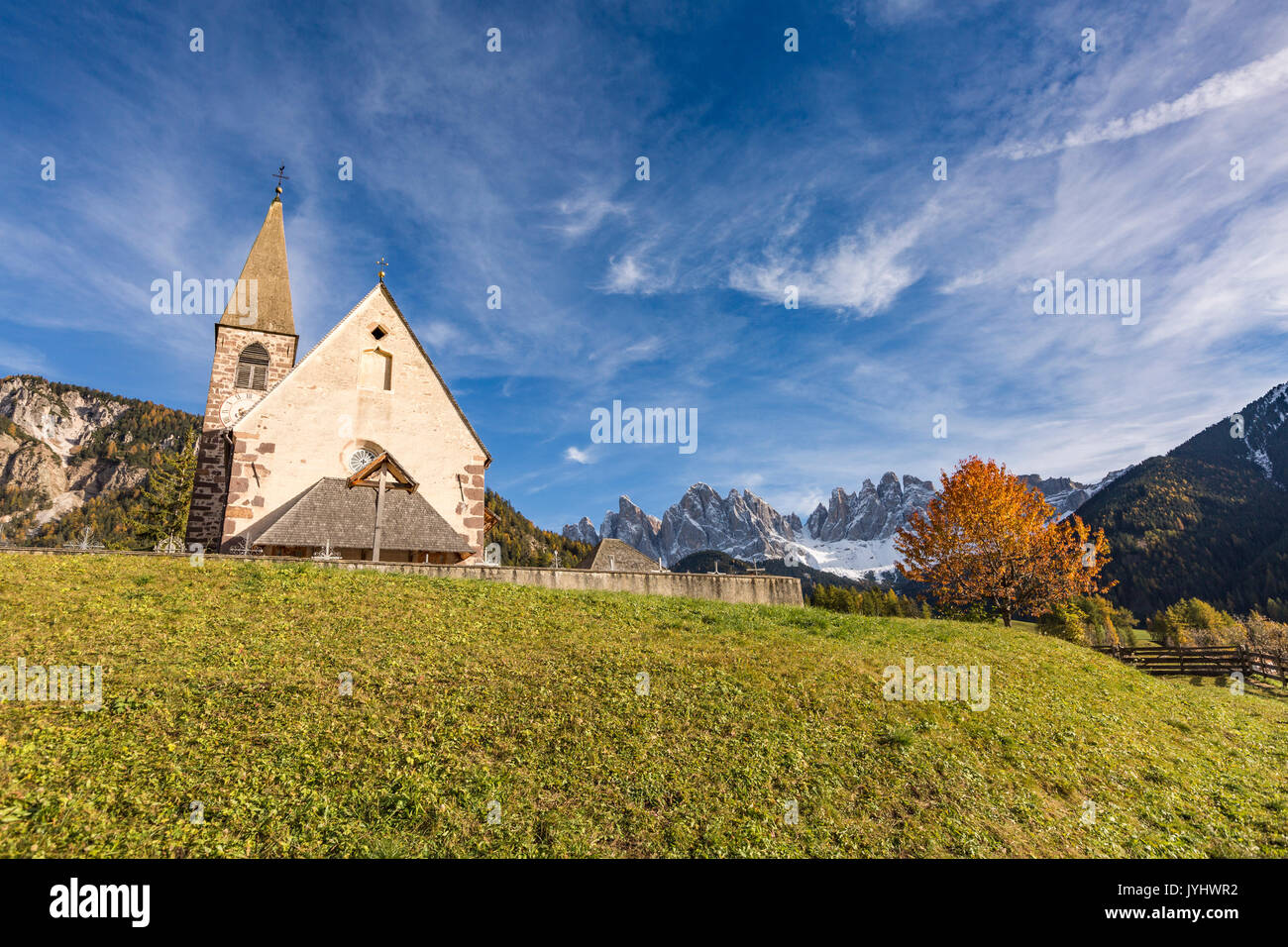 Cerisier d'automne et de l'église du village. Santa Maddalena, Funes, Bolzano, Trentin-Haut-Adige - Sudtirol, Italie, Europe. Banque D'Images