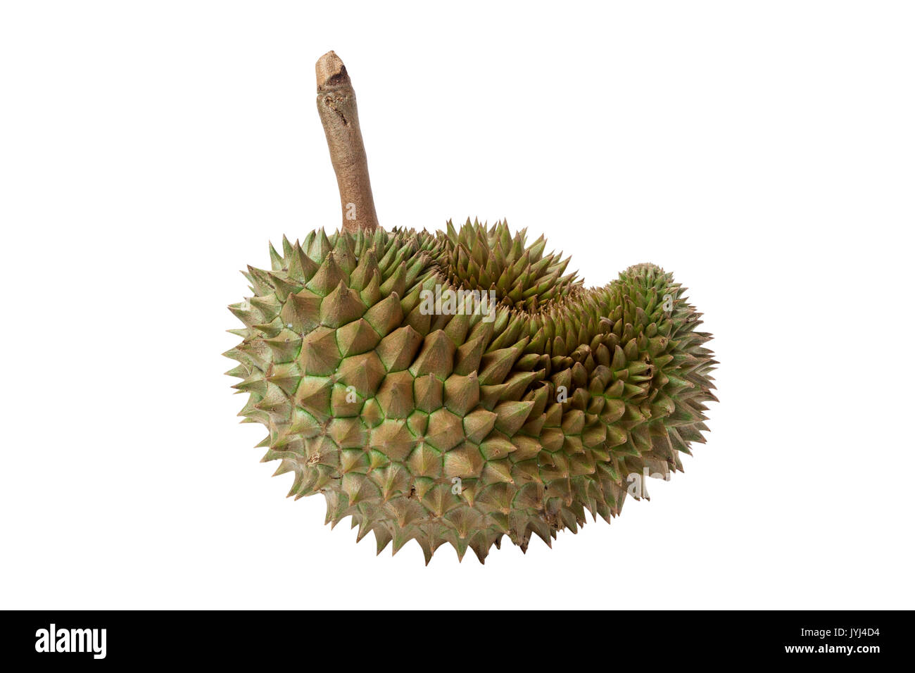Durian est roi des fruits isolé sur fond blanc. objets de trajets de découpage Banque D'Images