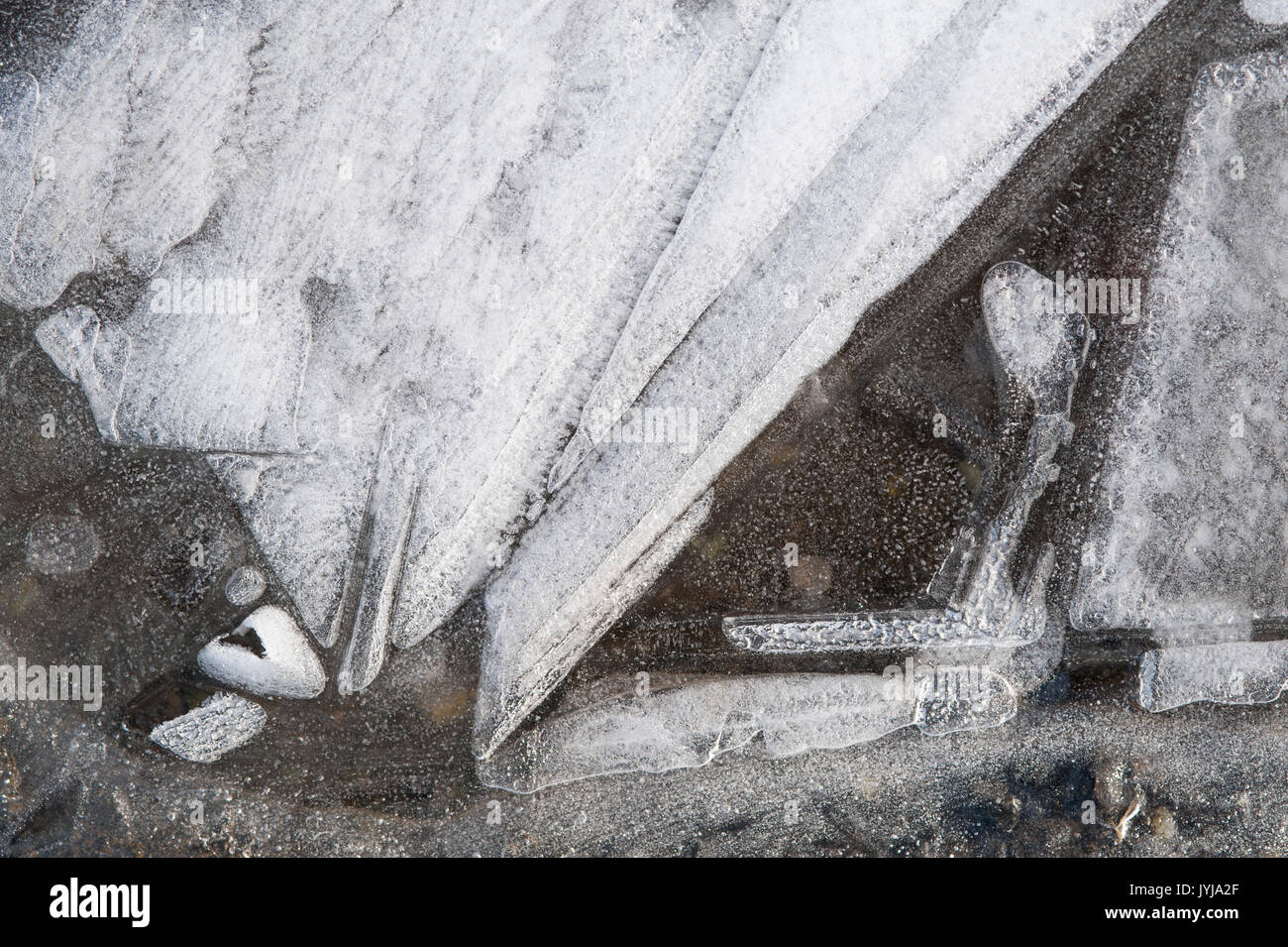 Mares gelées avec feuilles congelés dans la glace feuille de production de motifs et d'images abstraites, avec des plaques de glace parties Banque D'Images