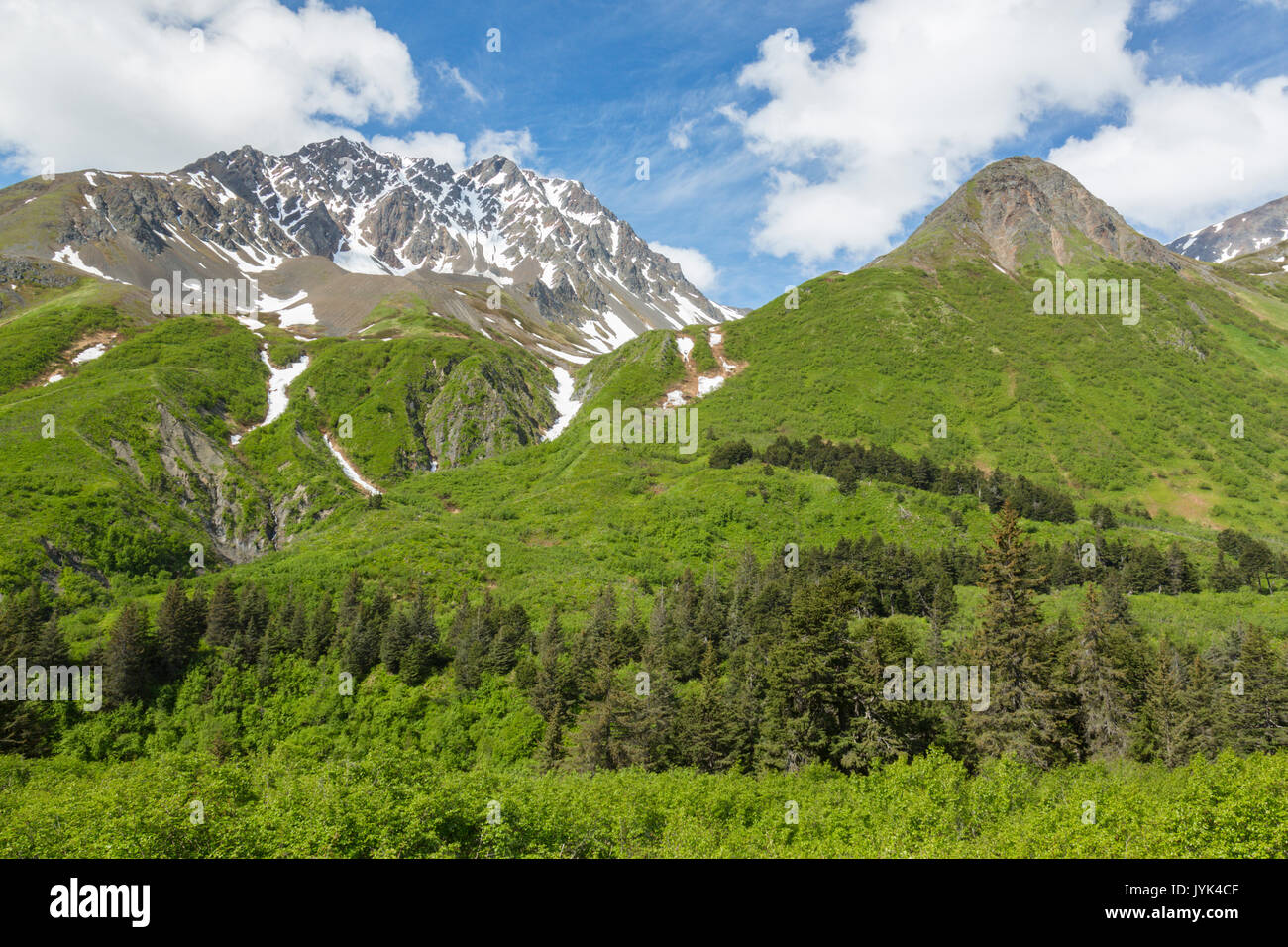 Sentier du lac perdu, la Forêt Nationale de Chugach, Seward, Alaska, USA Banque D'Images