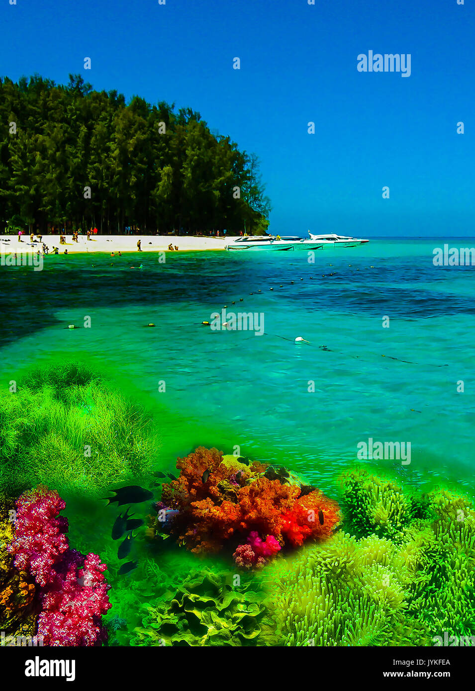 Collage de corail sous-marine et à l'île verte sur l'ho Banque D'Images