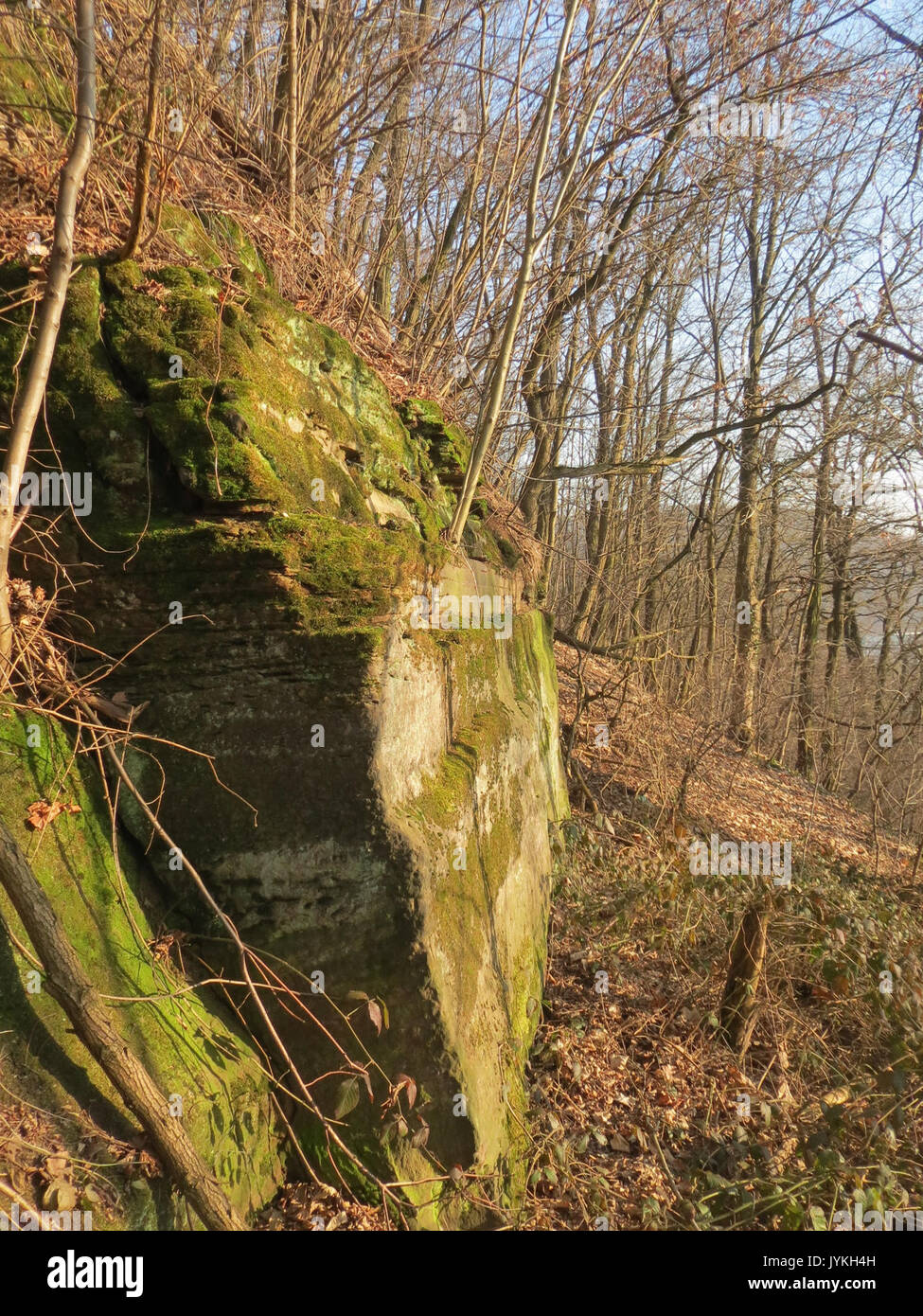 201702153 Kaninchenberg Banque D'Images