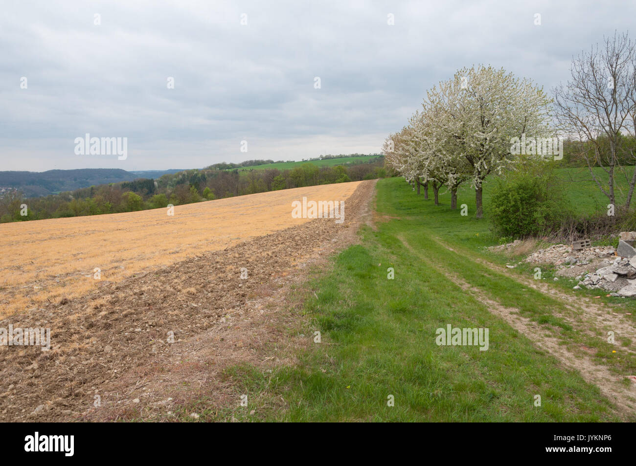 2017 0415 Feld 5 Herbizid Banque D'Images