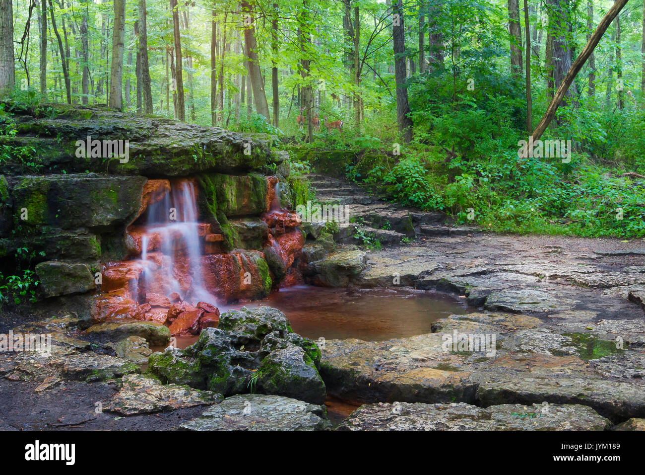 Printemps naturel situé à Yellow Springs Ohio Banque D'Images