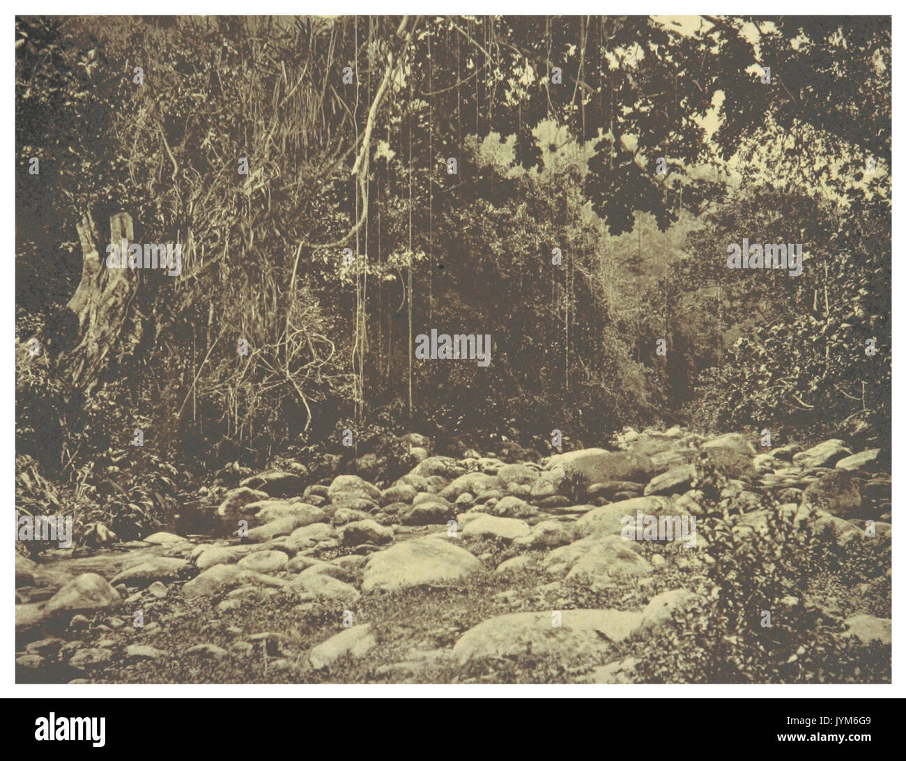 Le Venezuela, des 156 chambres San Esteban bei Puerto Cabello Banque D'Images