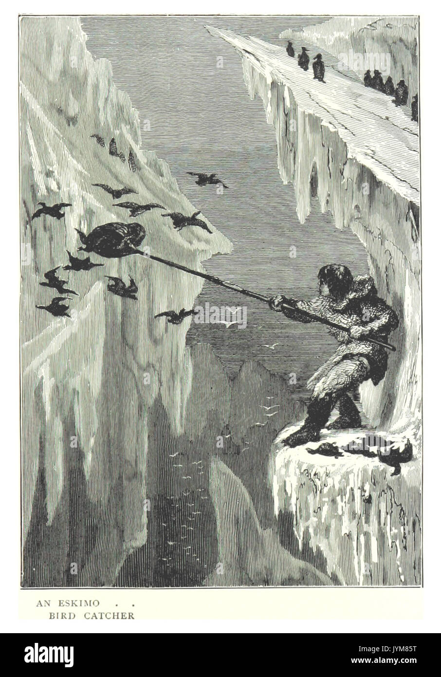 SCOTT1899 pg215 UN ESQUIMAU BIRD CATCHER Banque D'Images