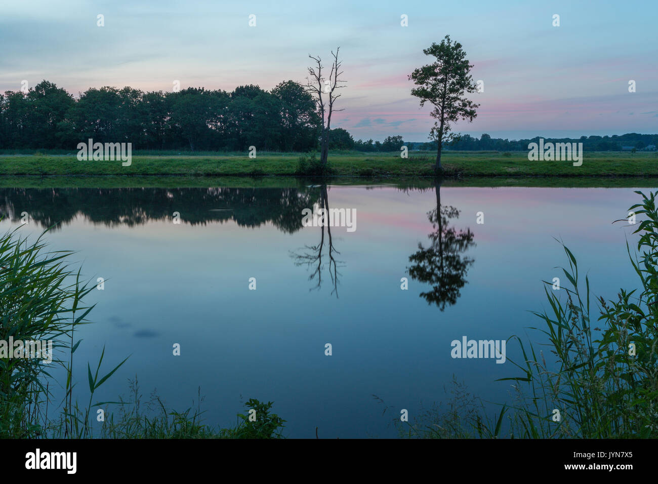 Arbre et ciel du soir calme réfléchi sur la surface de l'eau plate en néerlandais du paysage Banque D'Images