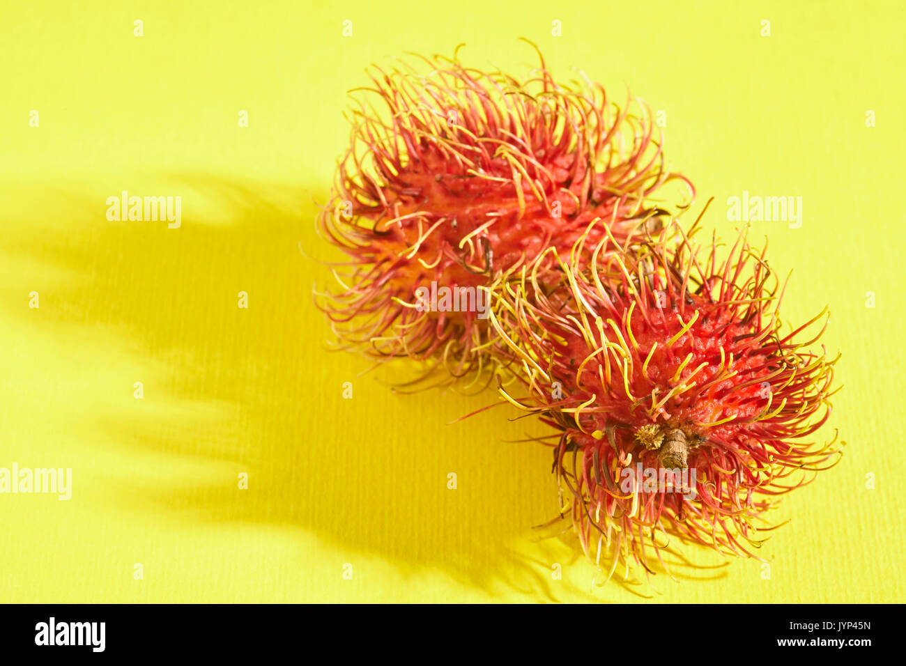 Nephelium lappaceum ramboutan,, un fruit tropical Banque D'Images