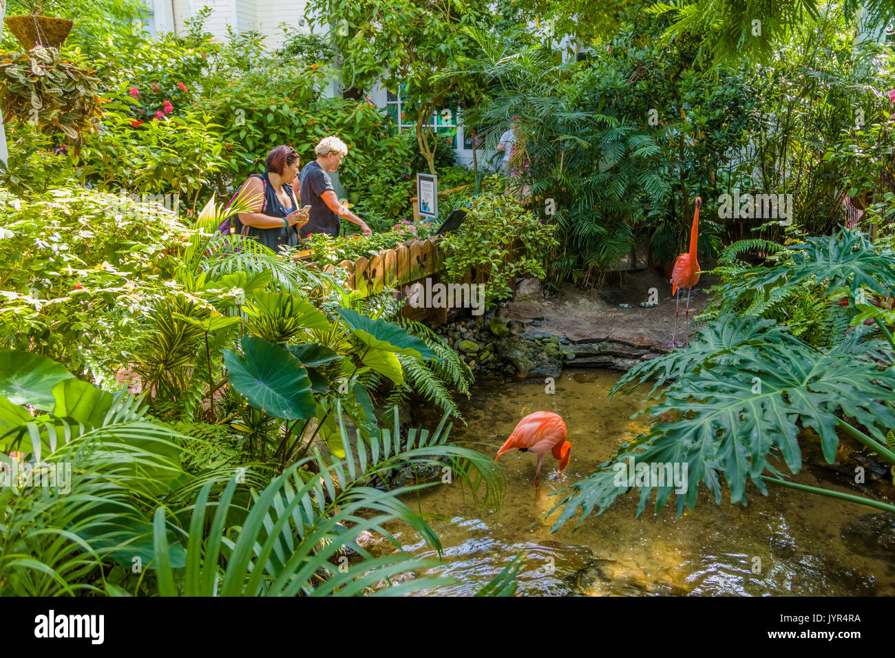 Le Key West Butterfly and Nature Conservatory Banque D'Images