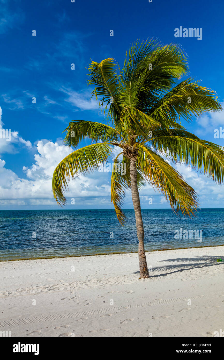 Smathers Beach sur l'océan Atlantique à Key West en Floride Banque D'Images