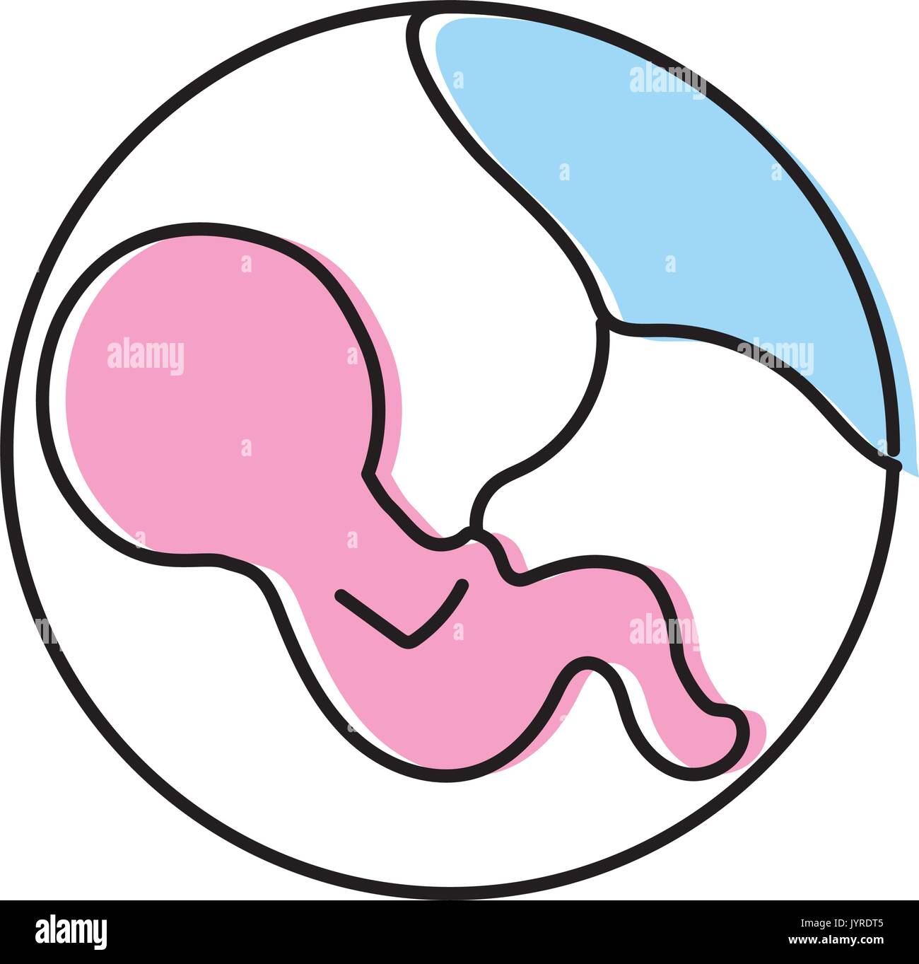 Bebe Avec Cordon Ombilical A L Interieur De L Uterus Des Meres Image Vectorielle Stock Alamy