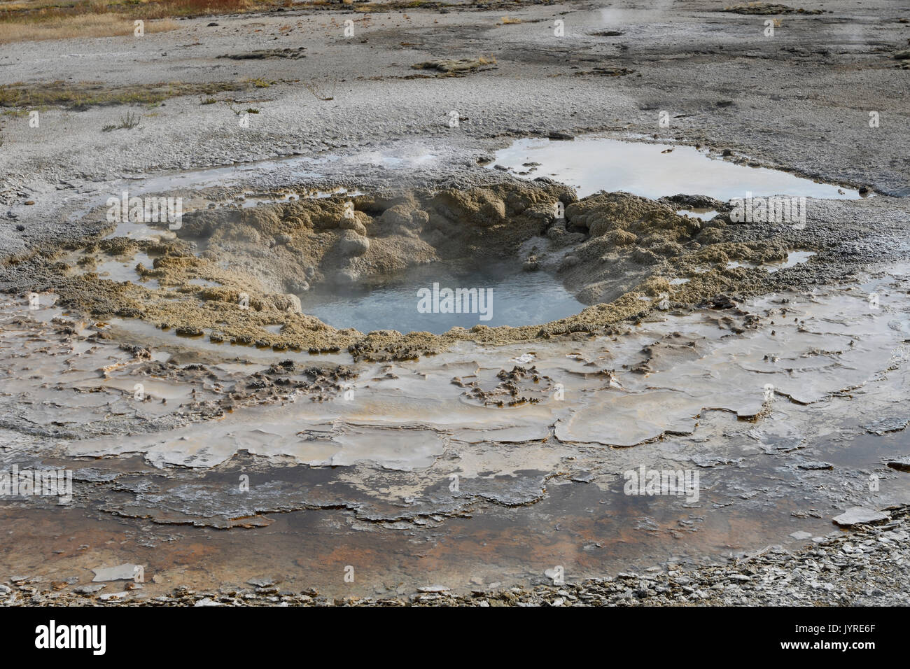 Les geysers de Yellowstone Banque D'Images