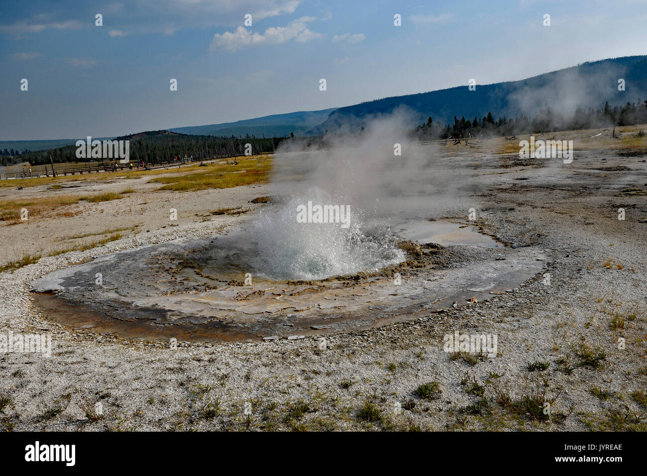 Les geysers de Yellowstone Banque D'Images