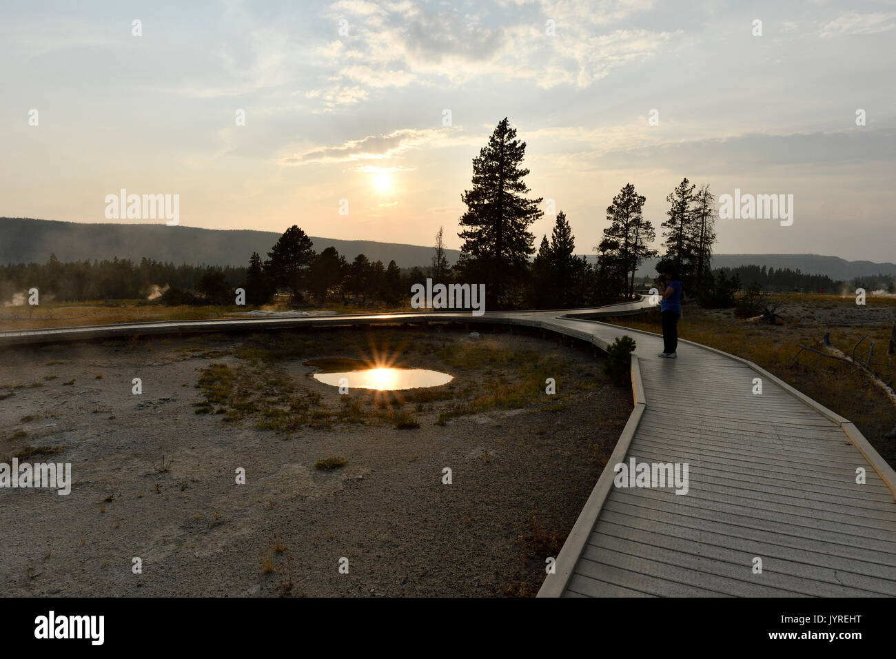 Les geysers de Yellowstone Banque D'Images