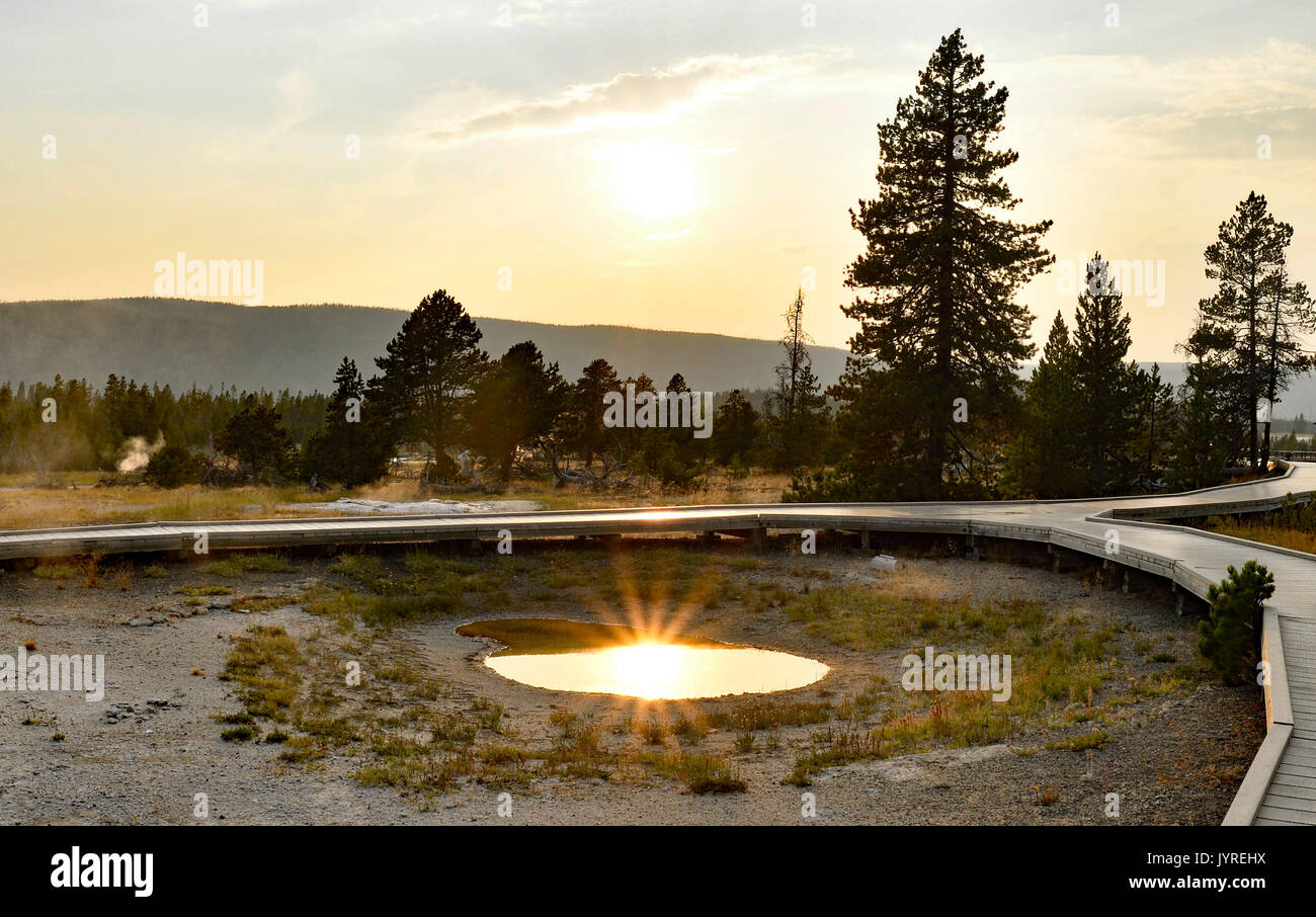 Les geysers de Yellowstone Banque D'Images