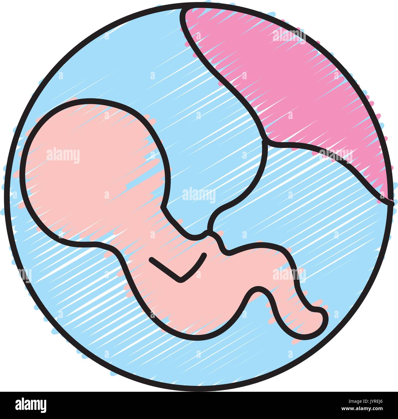 Bebe Avec Cordon Ombilical A L Interieur De L Uterus Des Meres Image Vectorielle Stock Alamy