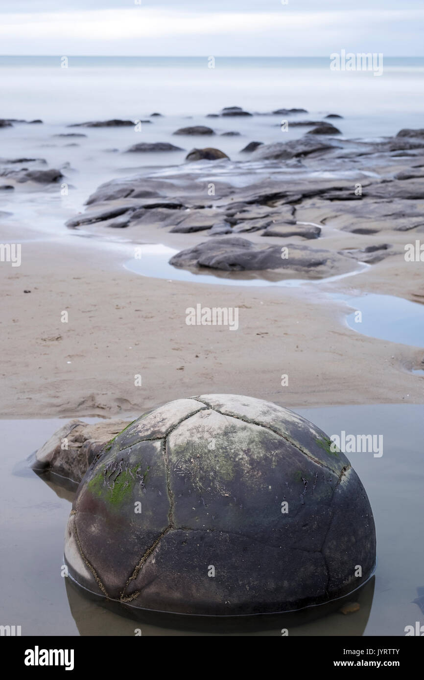 Giant's ball : Moeraki Boulders, Nouvelle-Zélande Banque D'Images