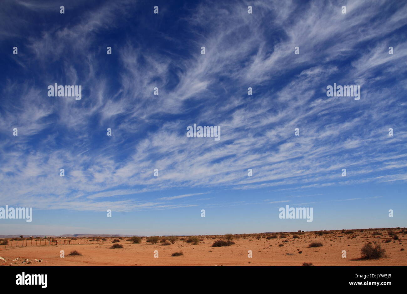 - Cirrus uncinus météo nuages contre un ciel bleu avec copie espace Banque D'Images