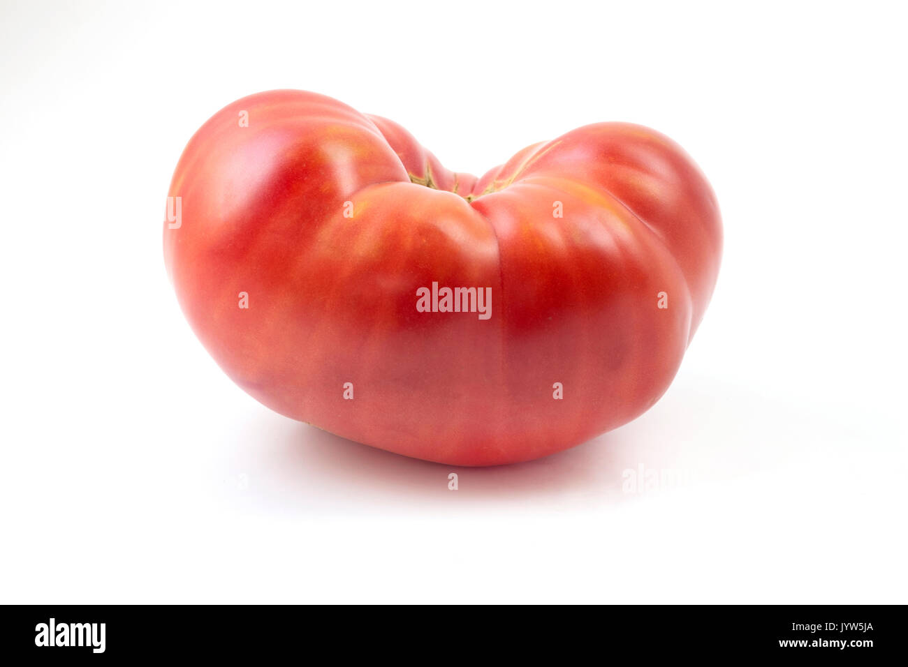 Tomates Beefsteak sur fond blanc Banque D'Images