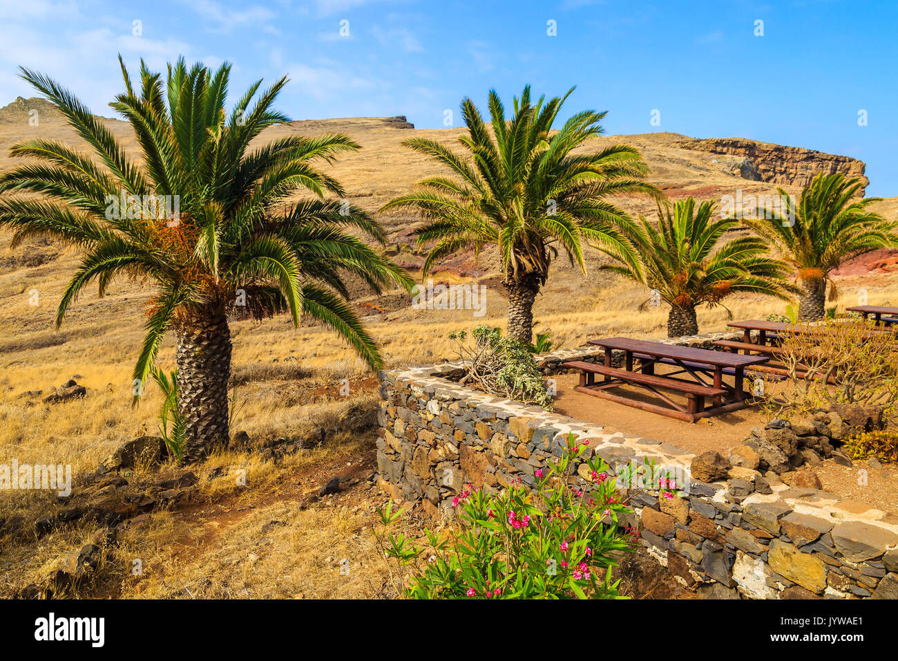 Oasis de palmiers dans paysage de désert sur le sentier de randonnée à Punta de Sao Lourenco, péninsule de l'île de Madère, Portugal Banque D'Images