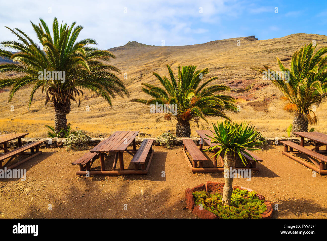 Tables de pique-nique dans l'oasis de palmiers dans paysage de désert sur sentier de randonnée à Punta de Sao Lourenco, péninsule de l'île de Madère, Portugal Banque D'Images