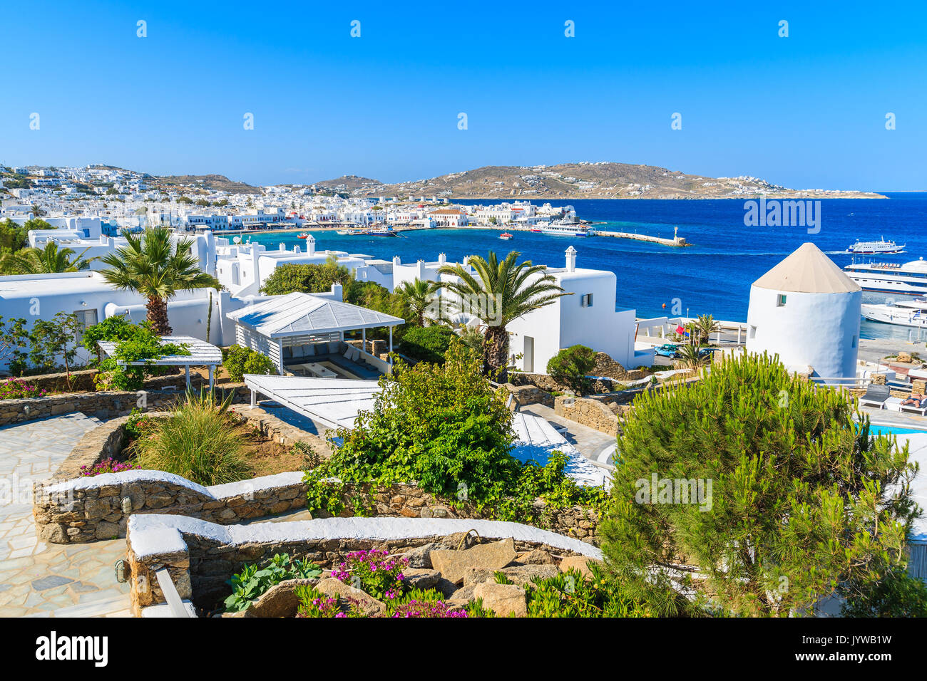 Ruelles dans jardin sur la côte de l'île de Mykonos, Grèce Banque D'Images