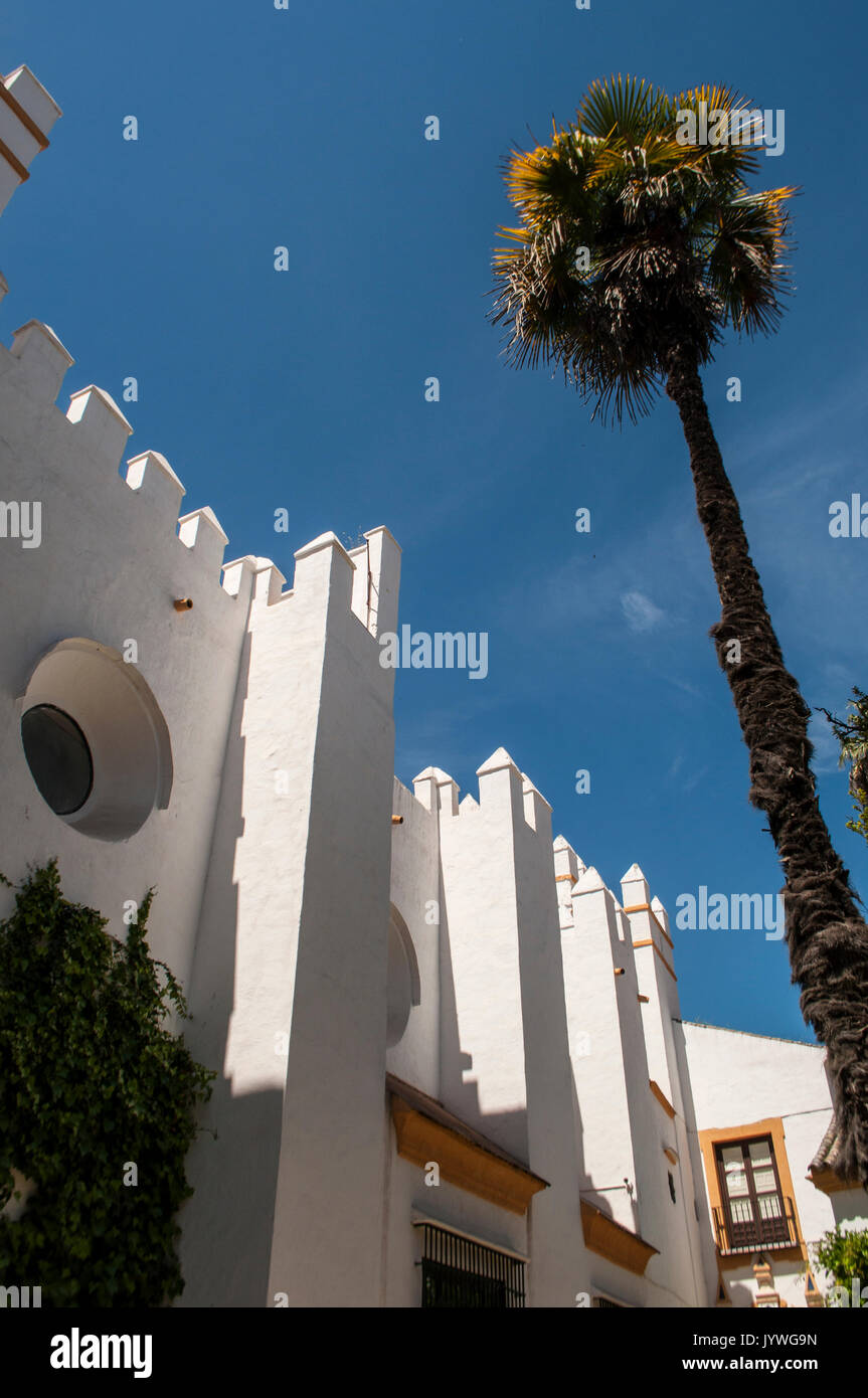 Espagne : les détails architecturaux de l'Alcazar de Séville, le célèbre palais royal, l'un des exemples les plus remarquables de l'architecture mudéjar Banque D'Images