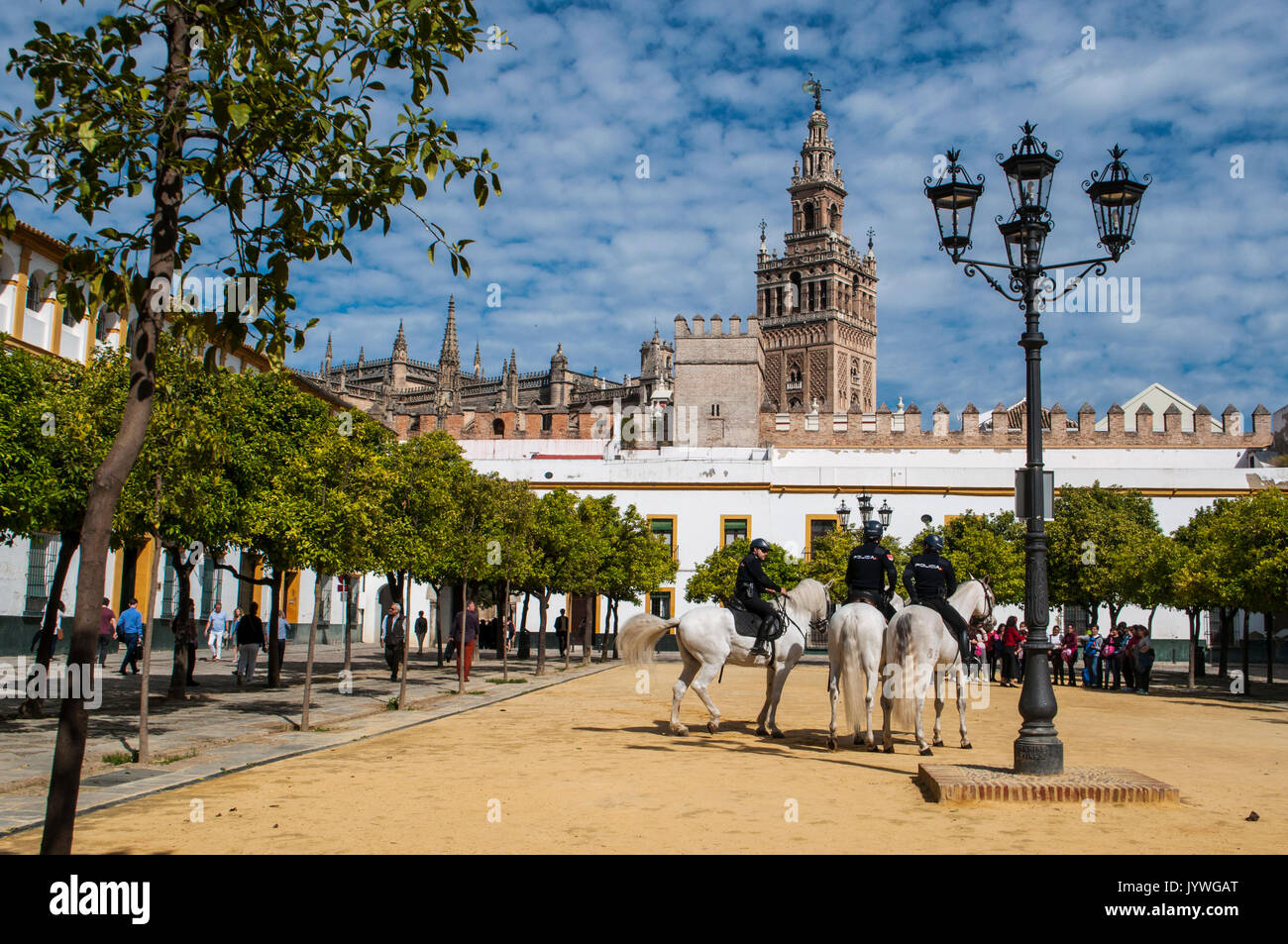 Espagne : les agents de police à cheval sur le sable dans la cour de l'un des drapeaux, dans le quartier juif de Séville, avec vue sur la Giralda Banque D'Images